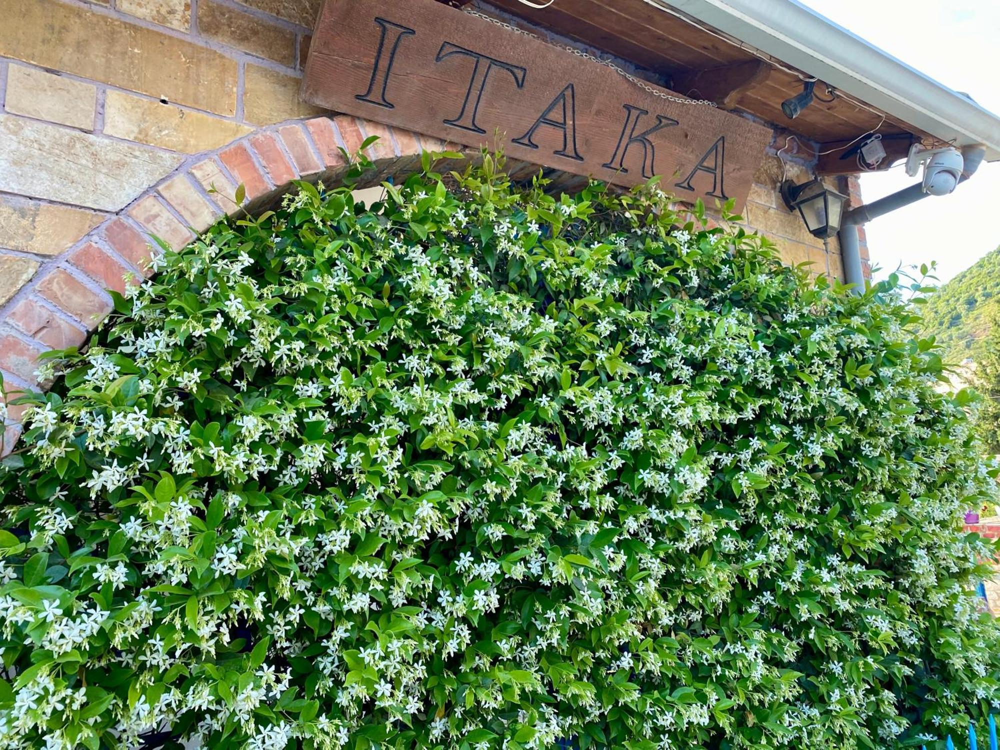 Itaka 3*